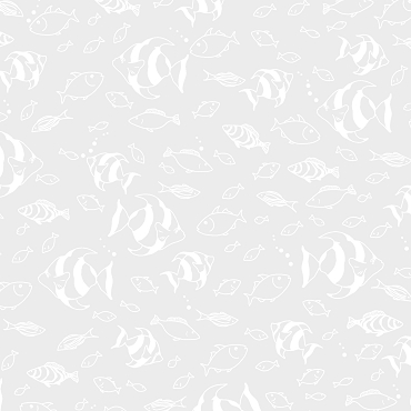 White on White Fish Friends